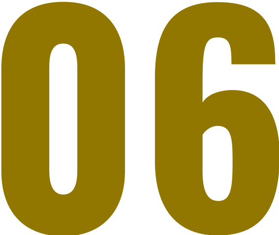 06